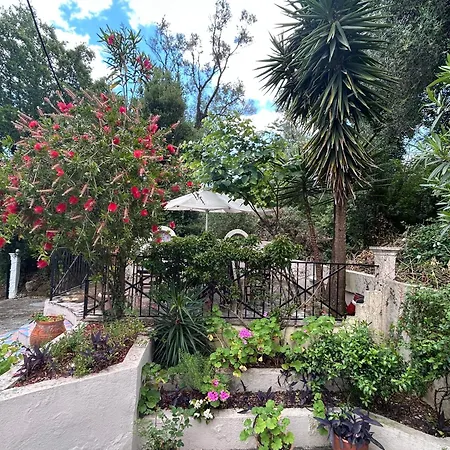 Apartman Fiona's House *