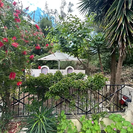 Fiona's House * Като-Коракиана