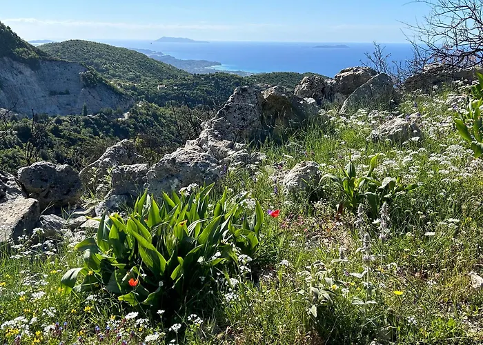 דירה Fiona's House